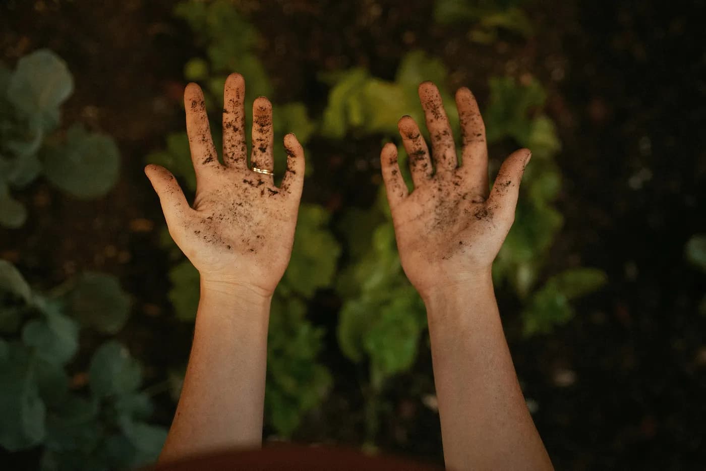 Dirty Hands Gardening